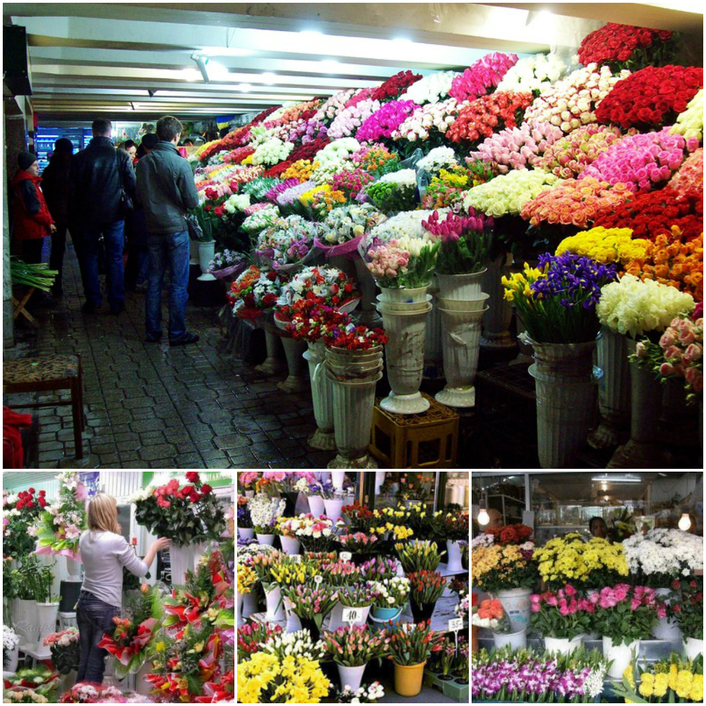 Где Купить Недорого Живые Цветы