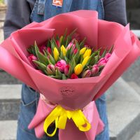 Тюльпани мікси Бровари