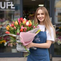 Тюльпани Бровари