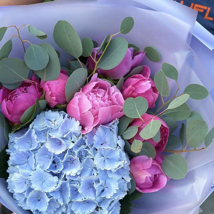Цветущая симфония гортензии с пионами 🌸 – доставка цветов в Киев