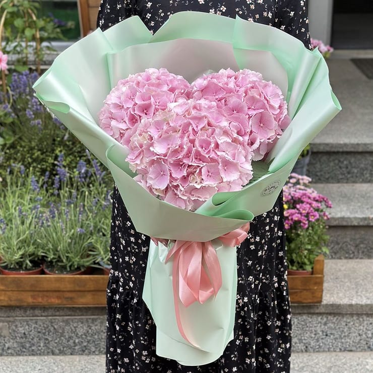 3 pink hydrangeas – flower delivery in Kyiv (Kiev)