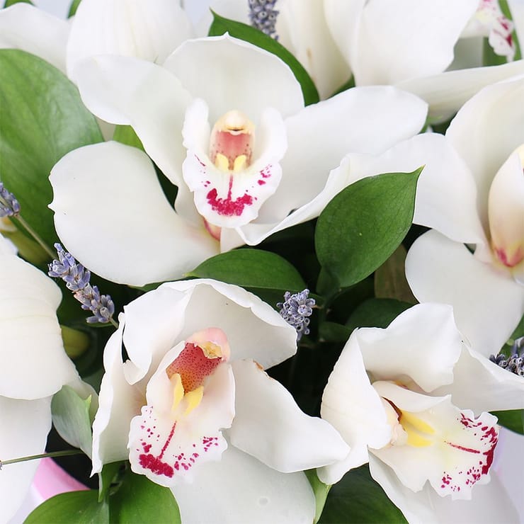 Flower box Tenderness of orchids – flower delivery in Brovari