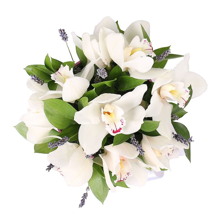 Flower box Tenderness of orchids – flower delivery in Brovari