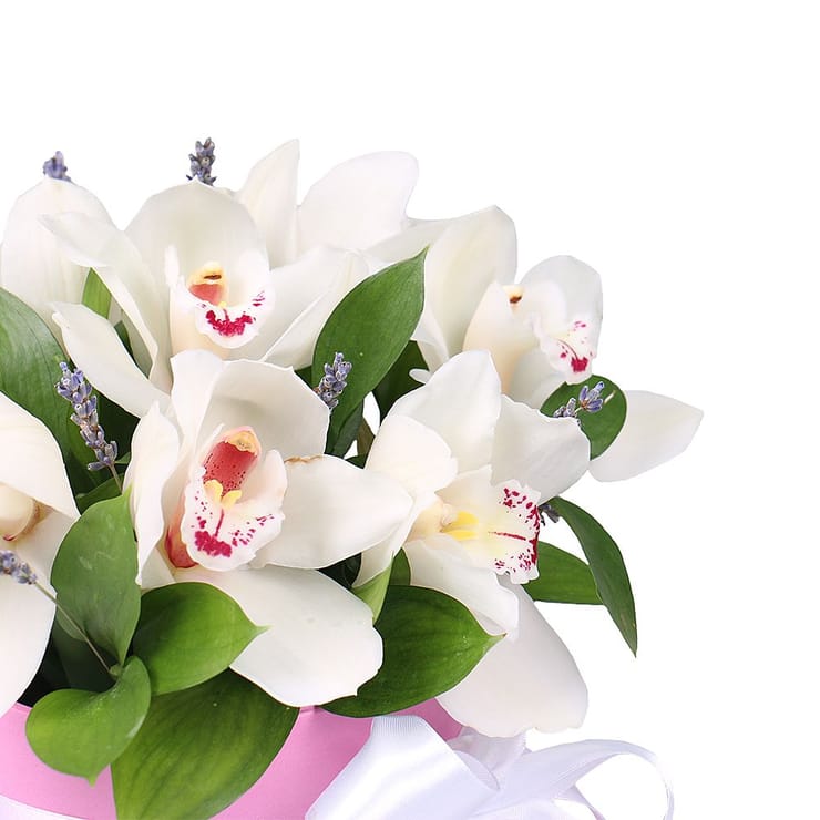 Flower box Tenderness of orchids – flower delivery in Brovari