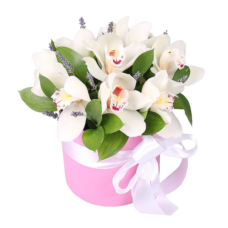 Flower box Tenderness of orchids – flower delivery in Brovari