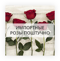 Імпортні троянди поштучно Рогашка Слатіна