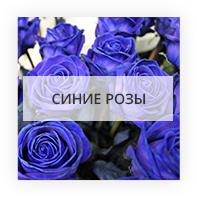 Синие розы Київ