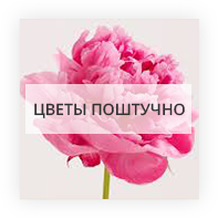 Квіти поштучно Київ