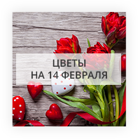 Цветы на 14 февраля Київ
