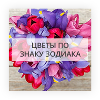Цветы по знаку зодиака Druskininkai