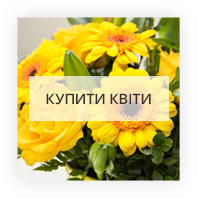 Кращі квіти у Свіленграду
